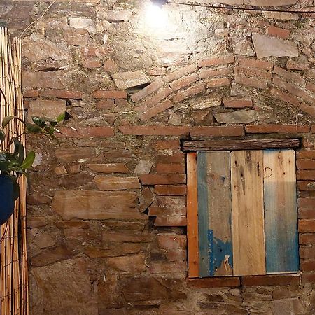 Happy Lucca Casa Vacanze Εξωτερικό φωτογραφία